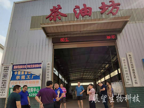 油茶鮮果收購(gòu)