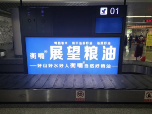 農(nóng)副產(chǎn)品加工,糧食收購,油料的種植,湖南省展望生物科技發(fā)展有限公司